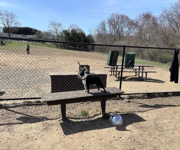 The Alice A Sullivan Dog Park