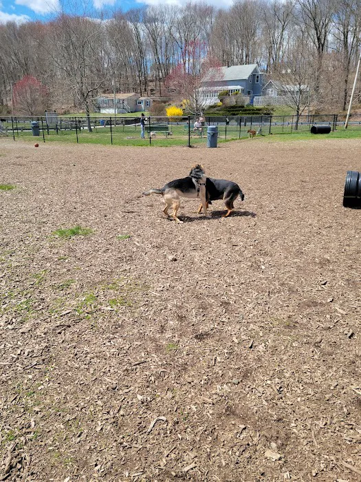 Estelle Cohn Memorial Dog Park 3