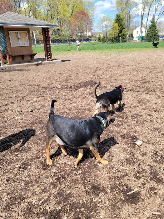 Estelle Cohn Memorial Dog Park 2