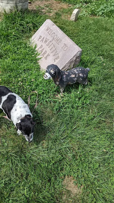 Estelle Cohn Memorial Dog Park 8