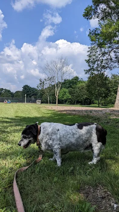 Estelle Cohn Memorial Dog Park 4