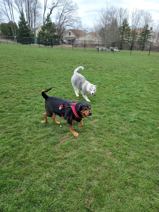 Estelle Cohn Memorial Dog Park 6