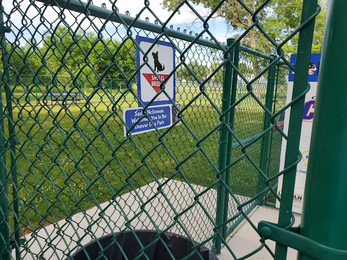 Denver Dog Park 3