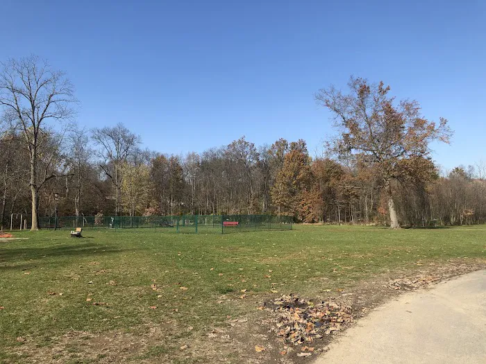 Denver Dog Park 5