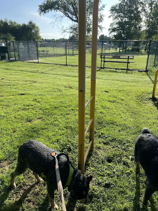 Denver Dog Park 8