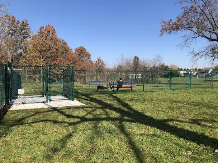 Denver Dog Park 9