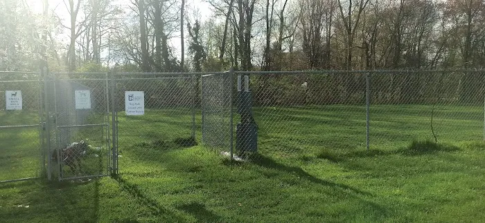 Dog Park 2