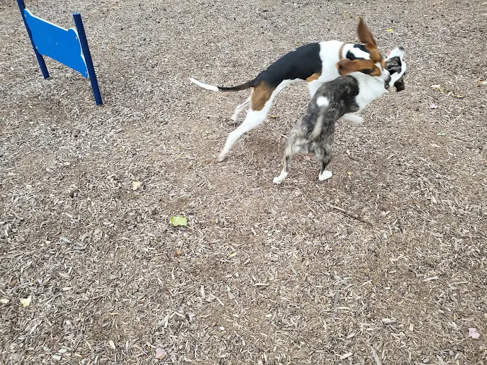 Dog park @ River Road Park 3
