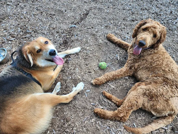 Dog park @ River Road Park 1