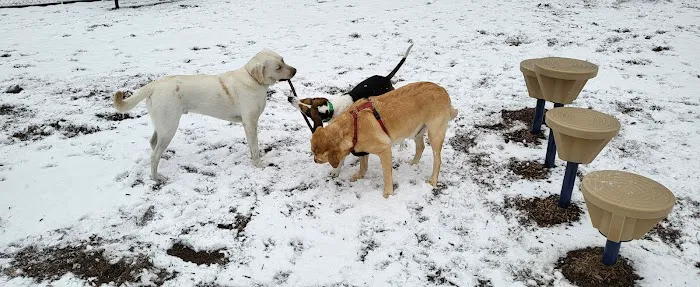 Dog park @ River Road Park 4