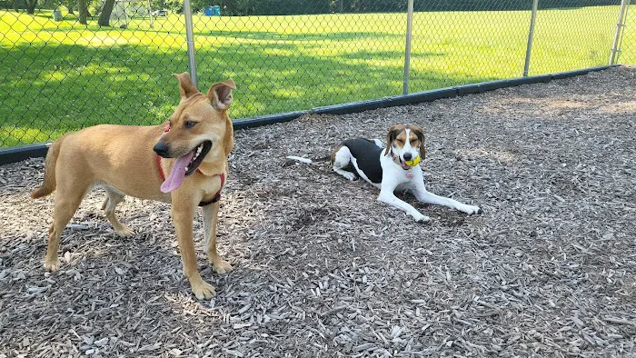Dog park @ River Road Park 7