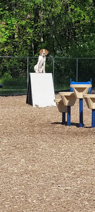 Dog park @ River Road Park 9