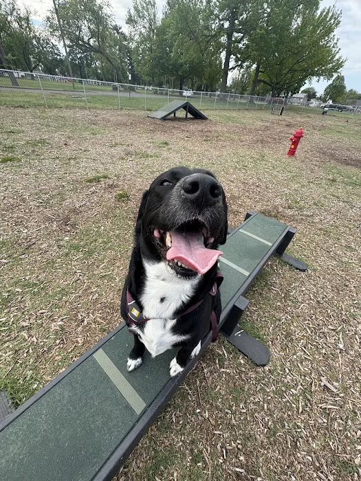 Sarah’s Heart Dog Park 4