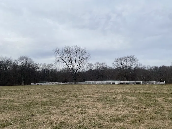 Bush Hill Farm 2