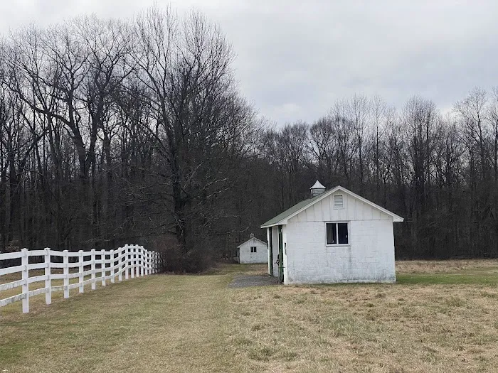 Bush Hill Farm 3