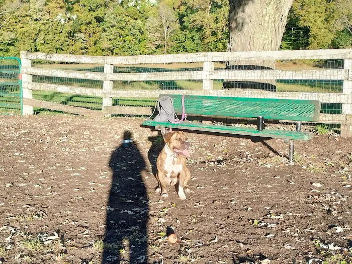 Bush Hill Farm 8