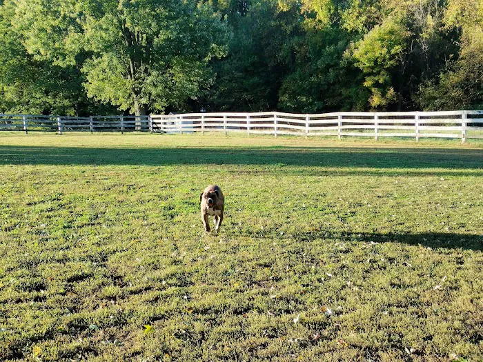 Bush Hill Farm 5