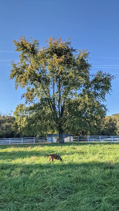 Bush Hill Farm 10