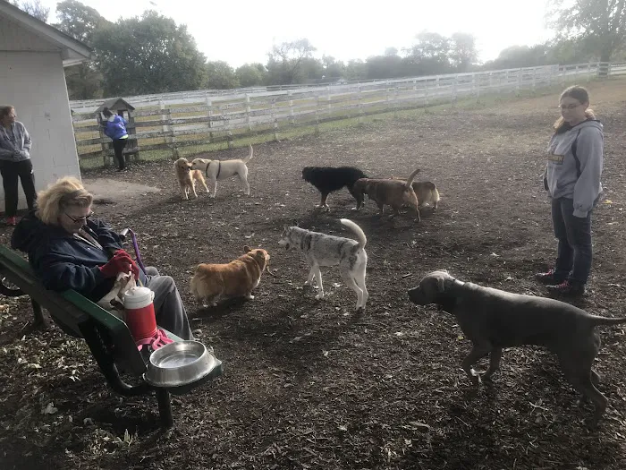 Bethel Dog Park 2