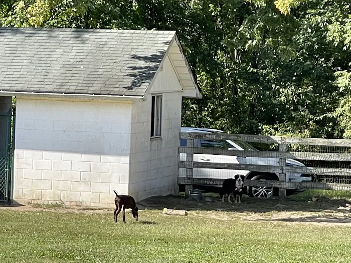 Bethel Dog Park 3