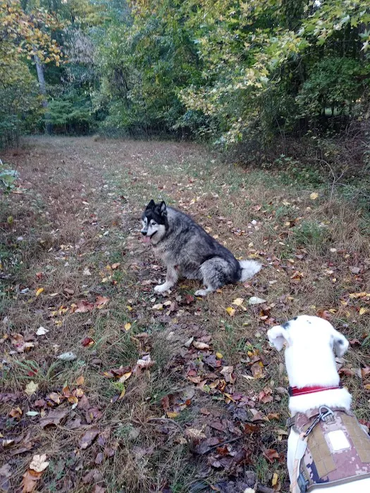 Bethel Dog Park 8