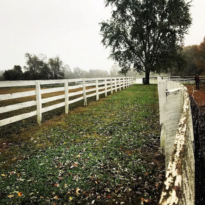 Bethel Dog Park 10