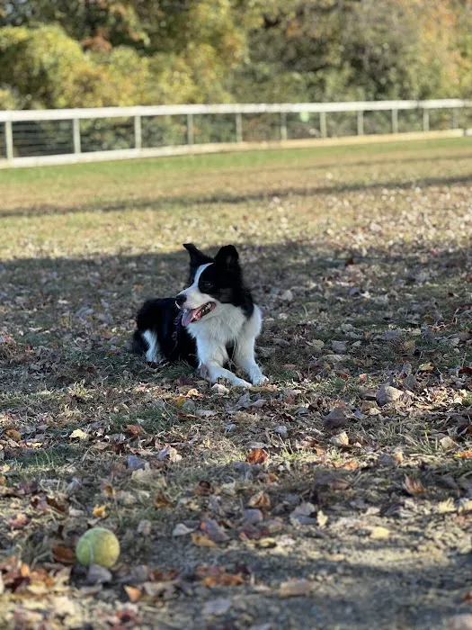 Bark Park at Pennsbury Township Municipal Park 1