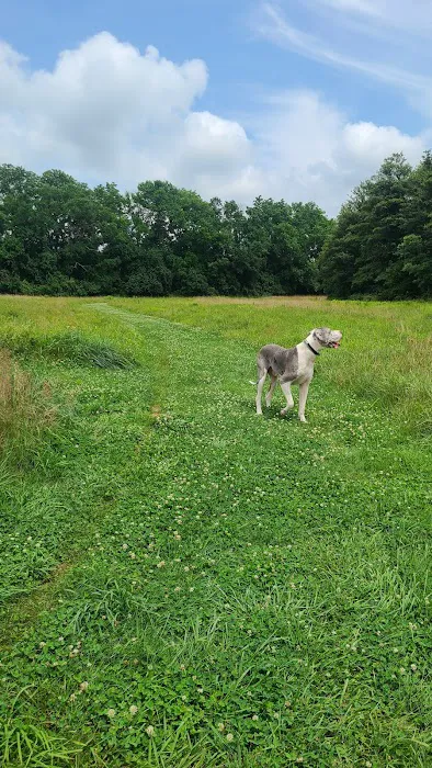 Barkingfield Park 1