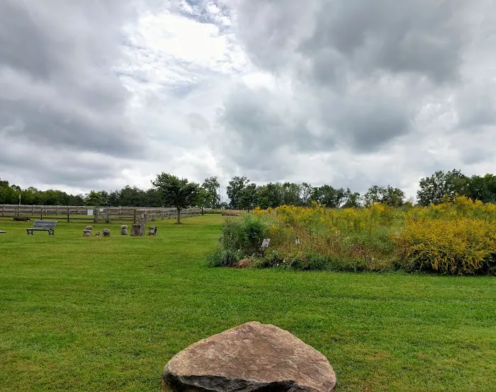 Barkingfield Park 4