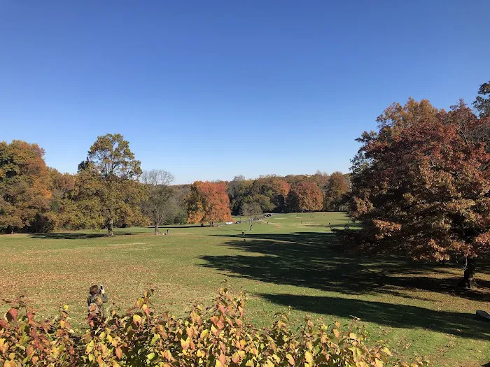 Rockford Dog Park 1