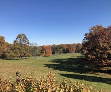 Rockford Dog Park