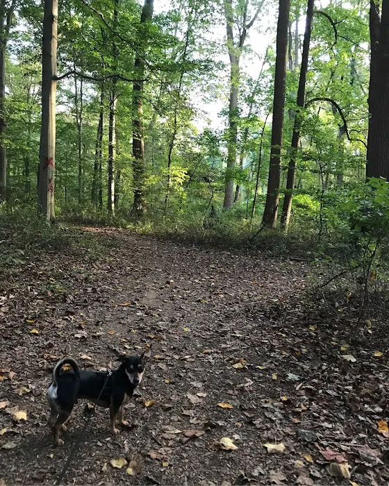 Goddard Dog Park 3
