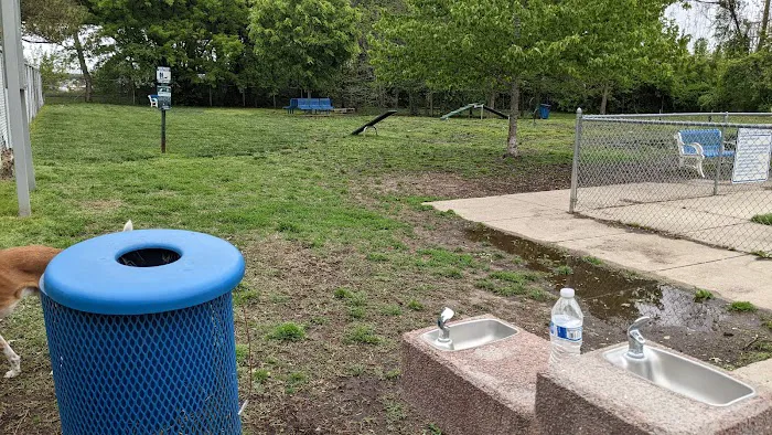 Elsmere Dog Park 2