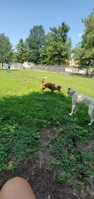 Elsmere Dog Park 3