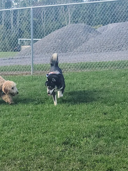 Wright Township Dog Park 3