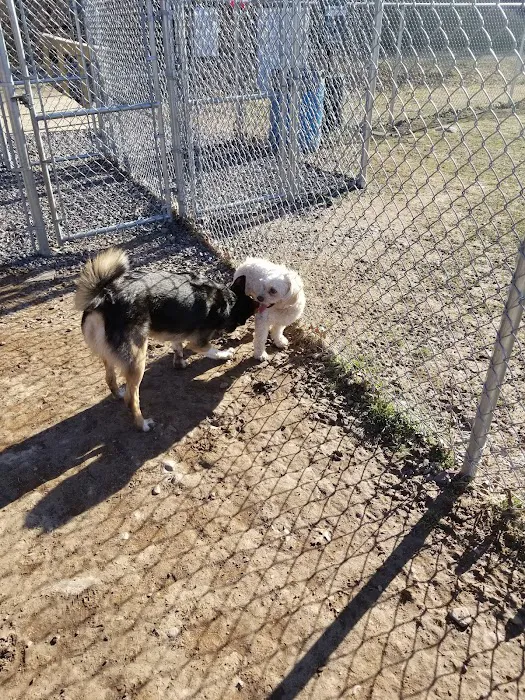 Wright Township Dog Park 6