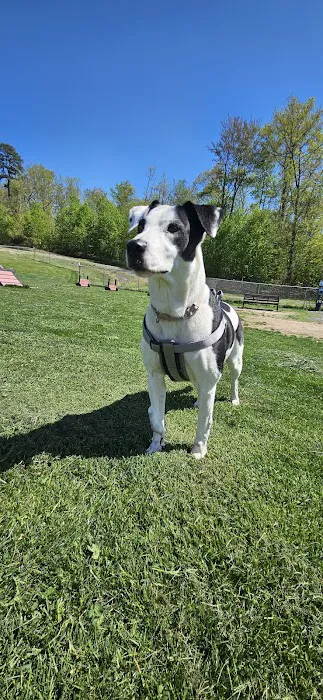 Wright Township Dog Park 5