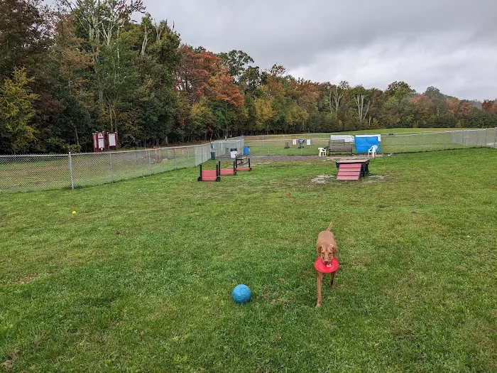 Wright Township Dog Park 9