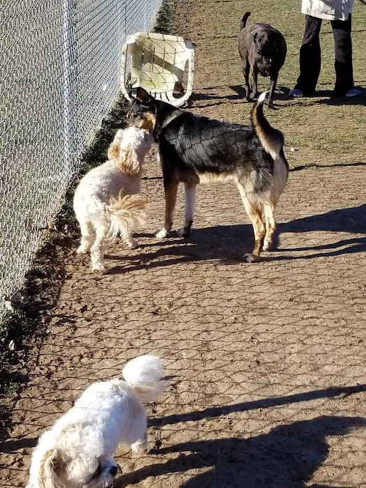 Wright Township Dog Park 7