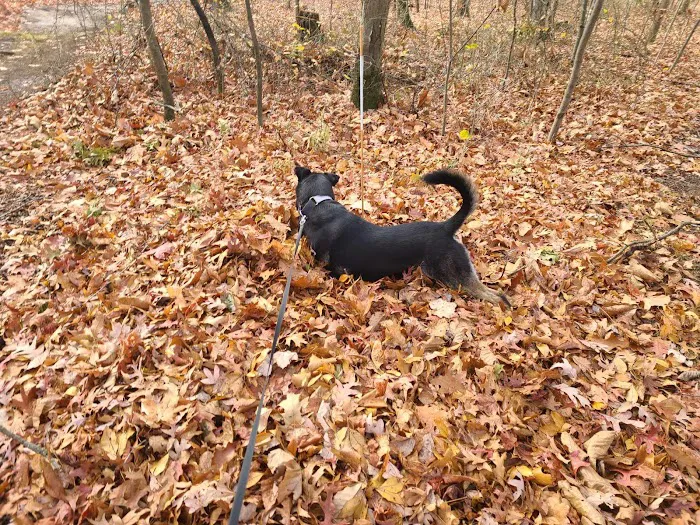 SNIFFY SNIFF SPOT 2
