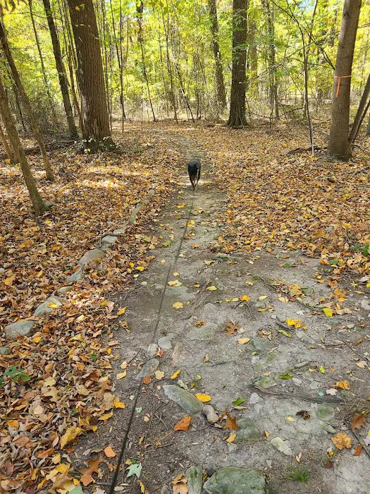 SNIFFY SNIFF SPOT 4