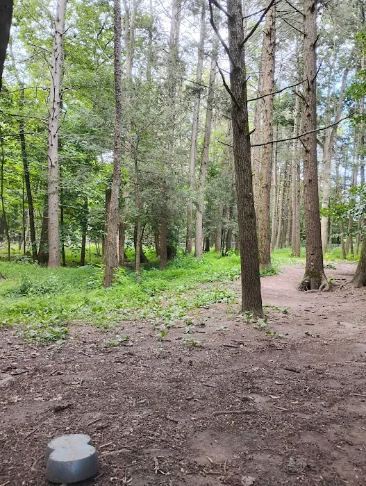 Woodstock Dog Park 3