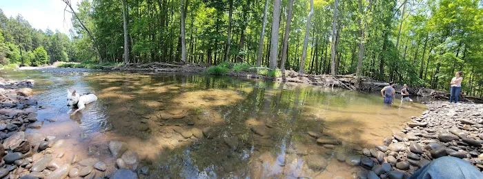 Woodstock Dog Park 6