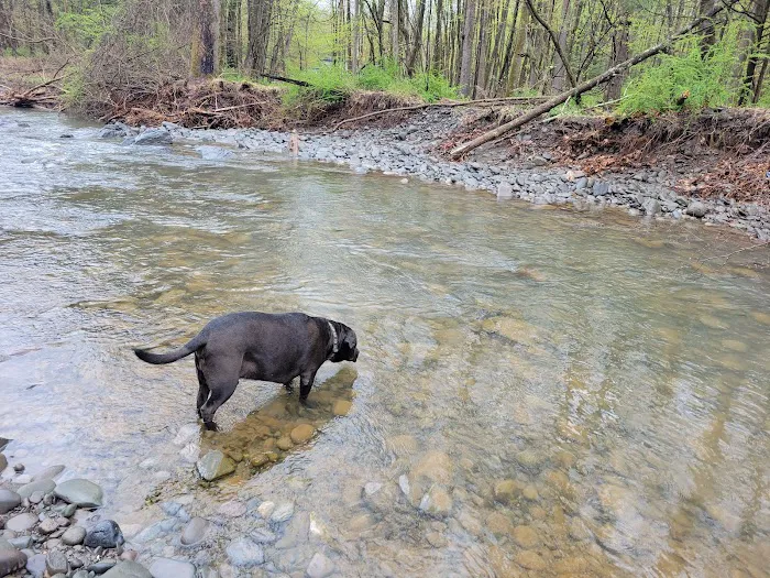 Woodstock Dog Park 5