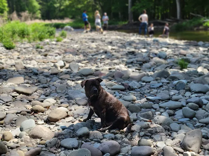 Woodstock Dog Park 4