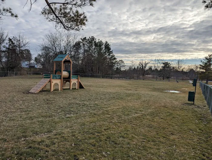 Palatine Bark Dog Park 1