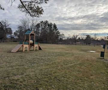 Palatine Bark Dog Park
