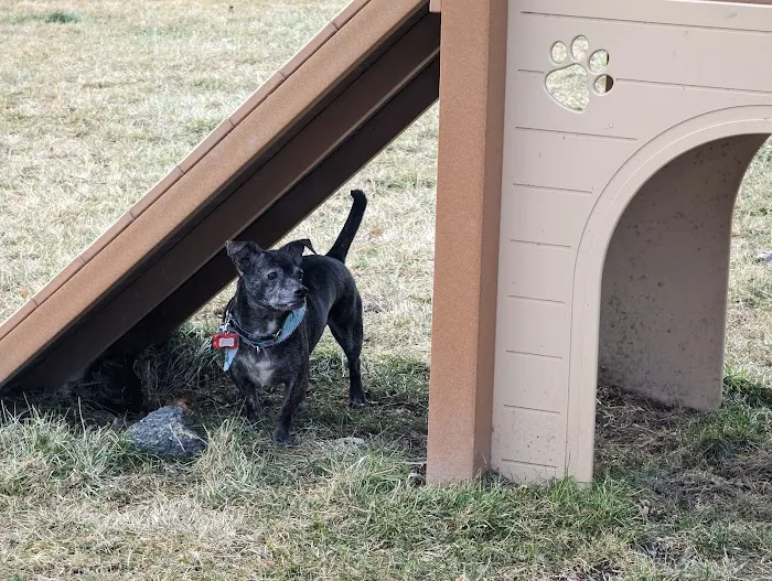 Palatine Bark Dog Park 4