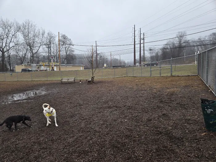 Saxony Dog Park 1