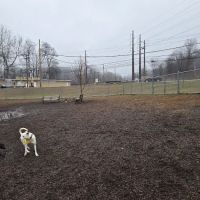 Saxony Dog Park ico
